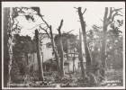 Zniszczony las i koszary na Helu, fot. Hans Sönnk, październik 1939 r. APG, 2384/22324/3  