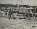 Zimowe impresje fotograficzne z Pomorza